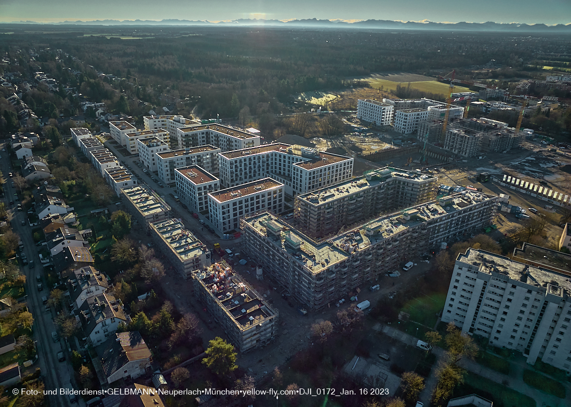 16.01.2023 - Alexisquartier und Pandion Verde